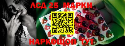 дживик Тара
