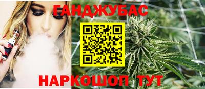 стаф Тула