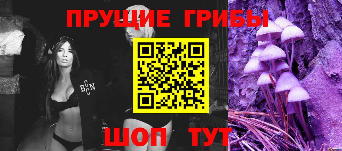 Галлюциногенные грибы GOLDEN TEACHER  Галлюциногенные грибы Psilocybe  Магадан  Вход с VPN 